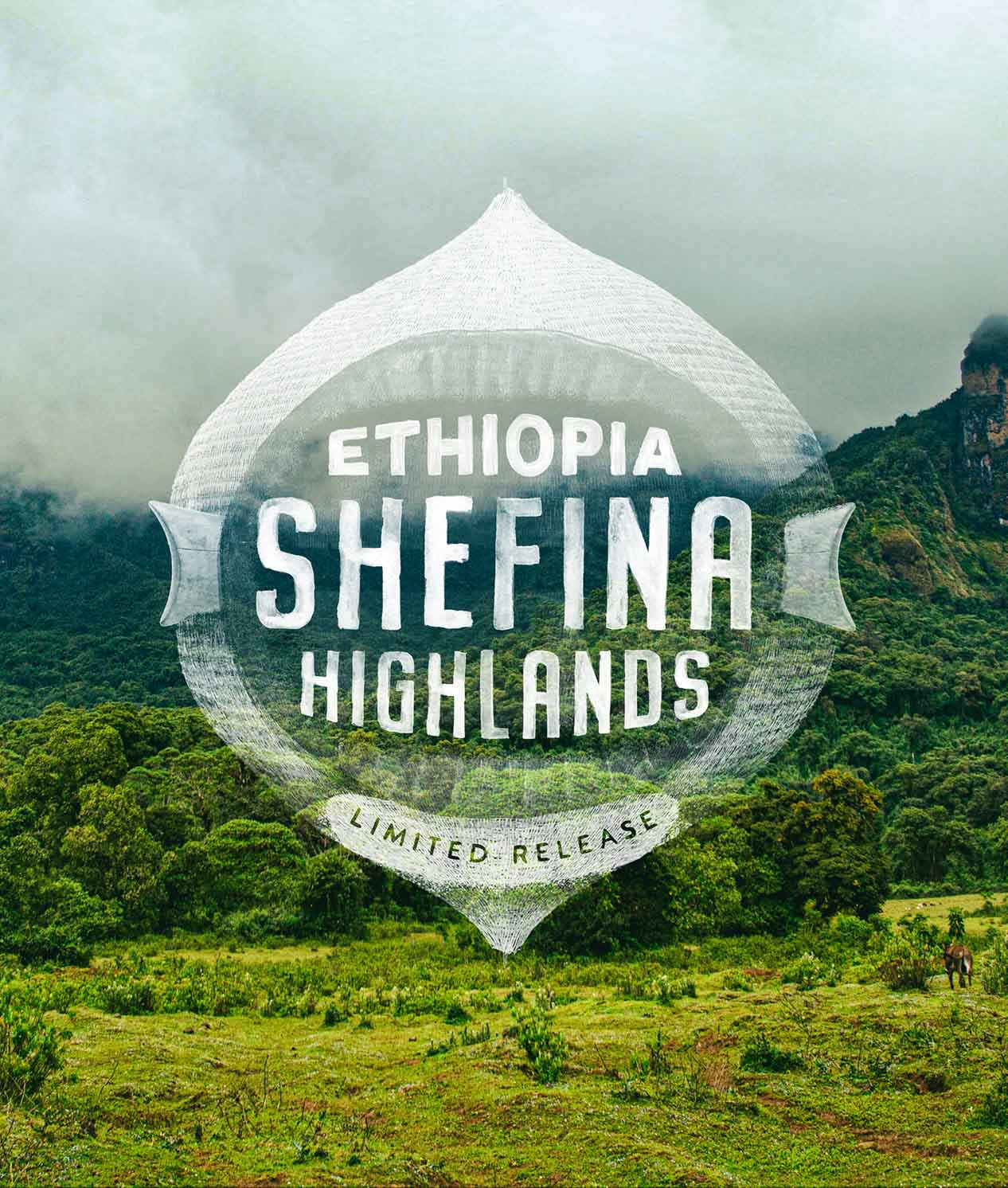 Ethiopia Shefina Highlands - Image 2