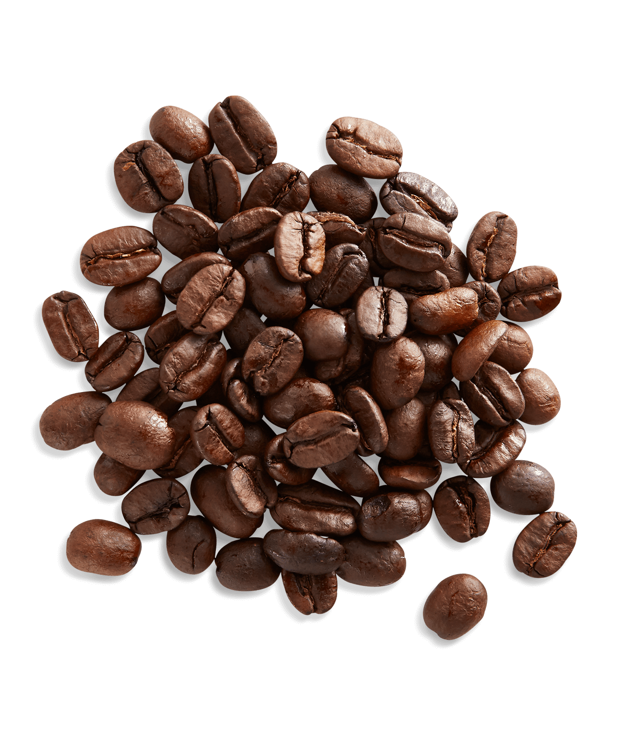 Espresso Forte - Image 3