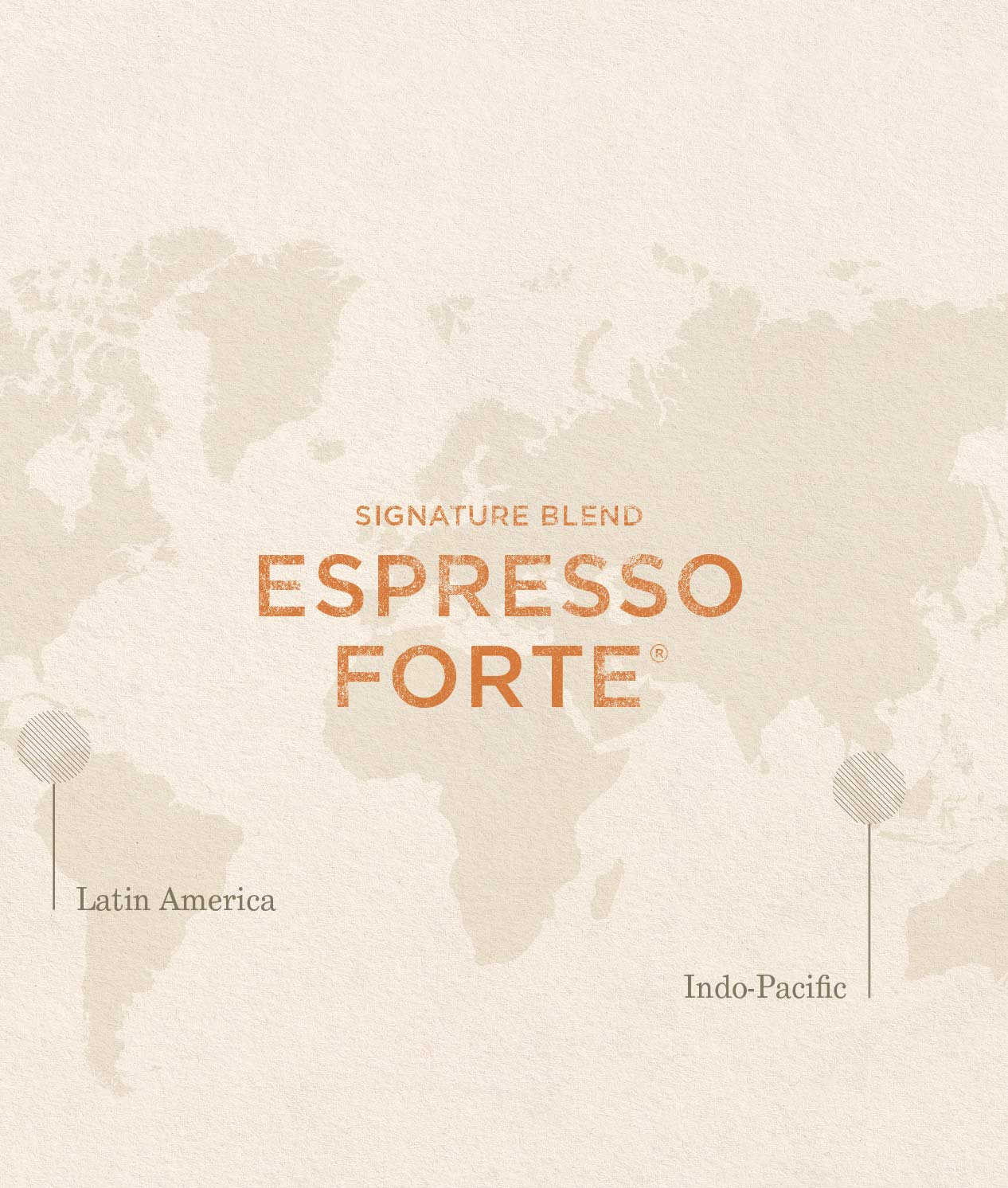 Espresso Forte - Image 2