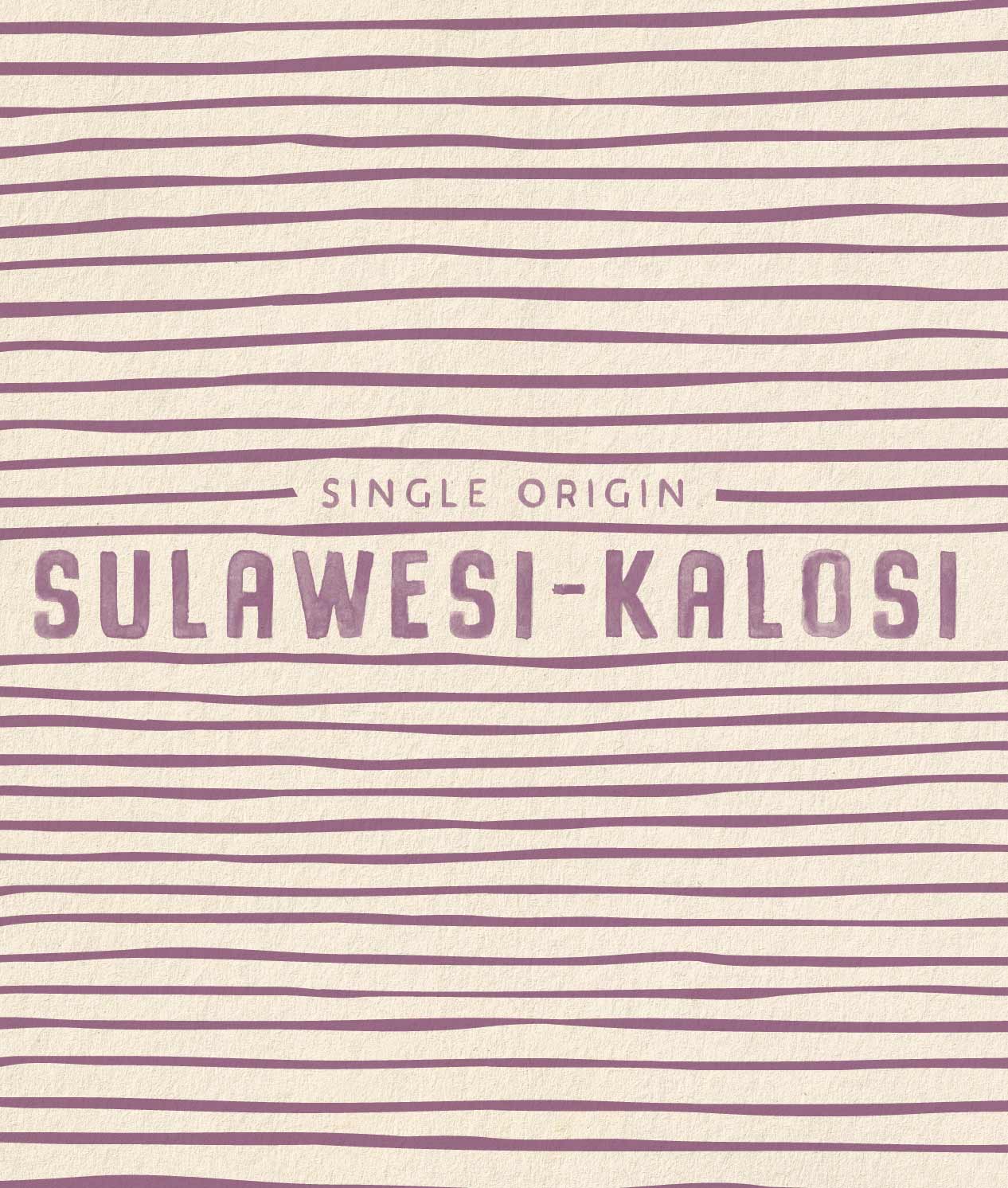 Sulawesi-Kalosi - Image 2