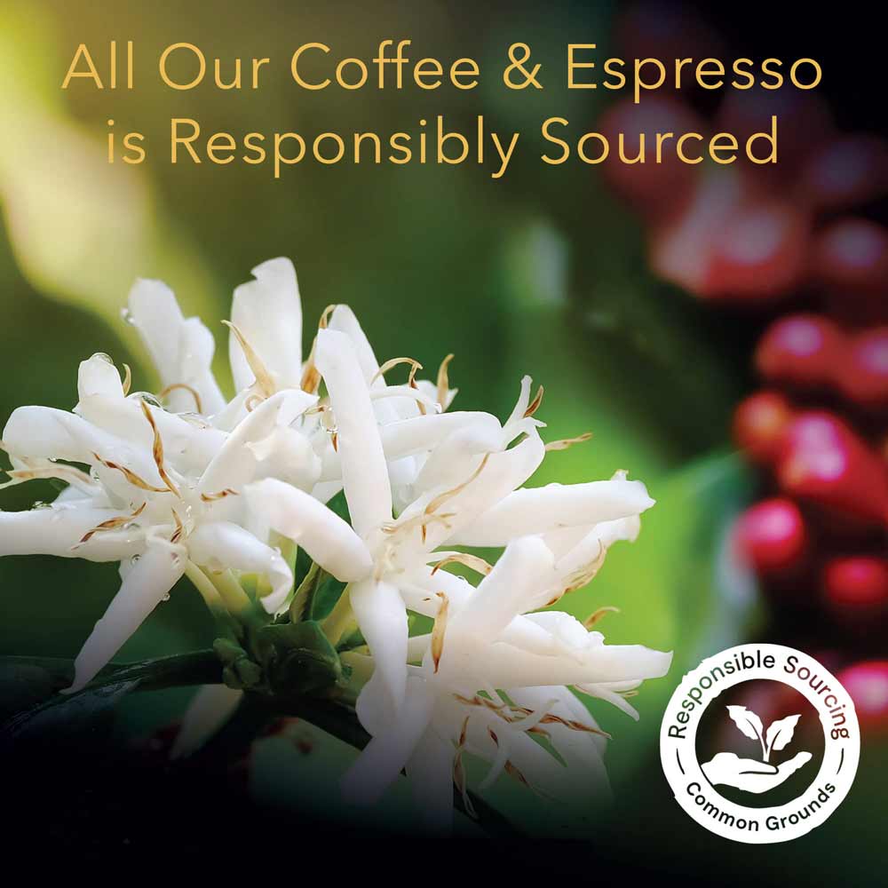 L'OR Espresso Sampler - Image 4